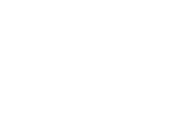 LK STEEL